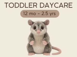 Toddler Daycare Possums | 12 mo to 2.5 yrs 